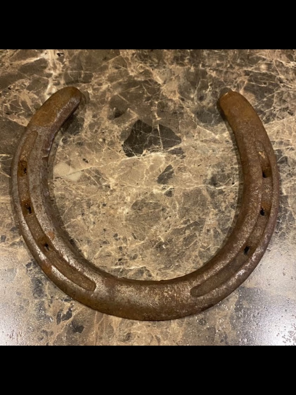 Vintage Rustic Horseshoe - Brown Rust Finish